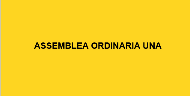Assemblea Ordinaria UNA